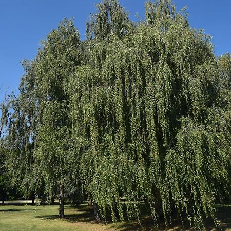 부스토아르시치오 Al Salice Tranquillita Nel Verde Via Amendola 24 아파트 외부 사진