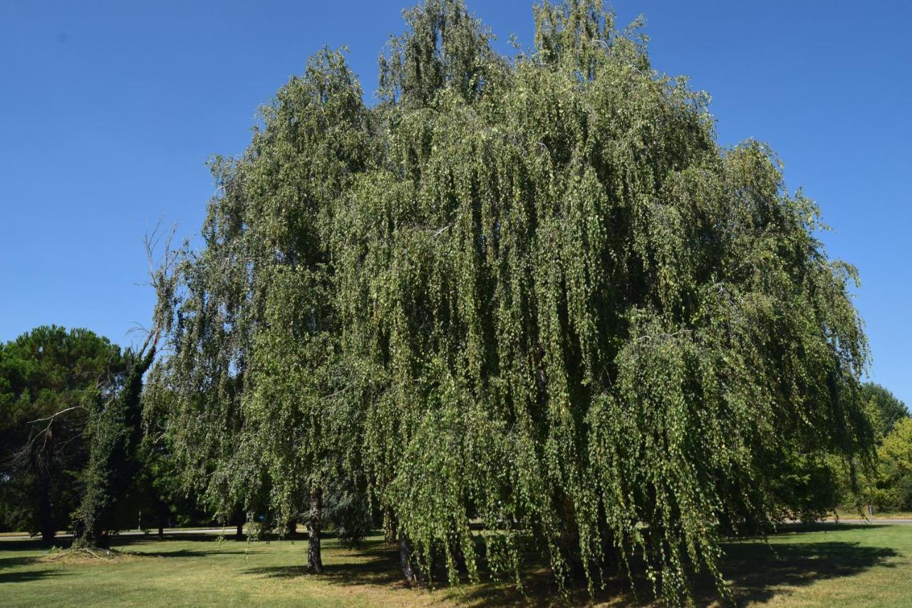 부스토아르시치오 Al Salice Tranquillita Nel Verde Via Amendola 24 아파트 외부 사진